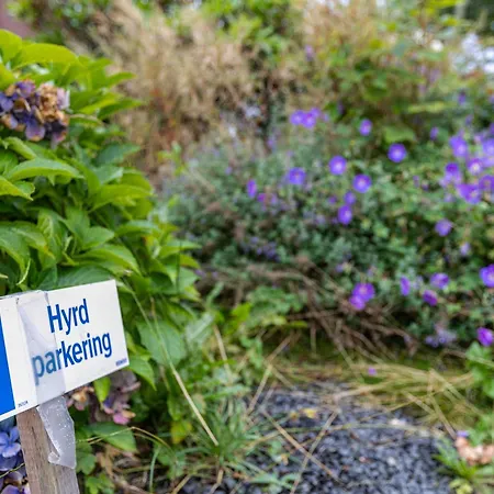 Gaestezimmer Mitten In 3*