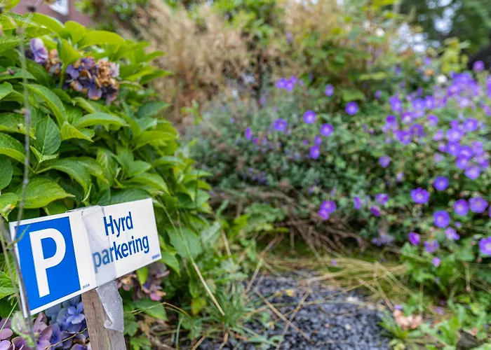 Gaestezimmer Mitten In 3*